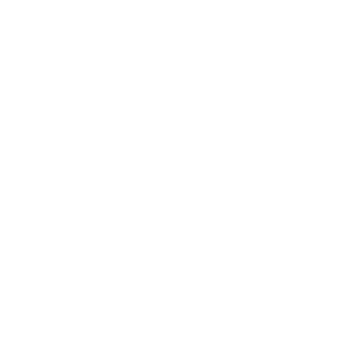 Paddle icon